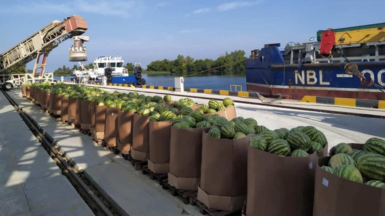 У Голій Пристані завантажують баржу з кавунами для Києва (ФОТО)