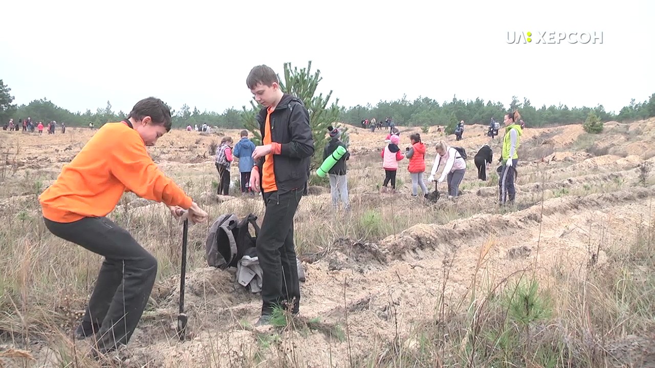 В Олешківському лісі висадили десять тисяч нових дерев (ВІДЕО)
